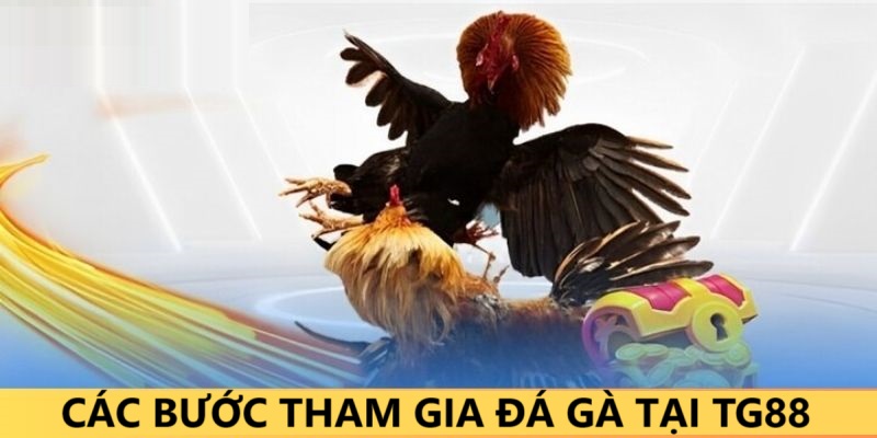 Tham gia cược kèo trước trận là gì?